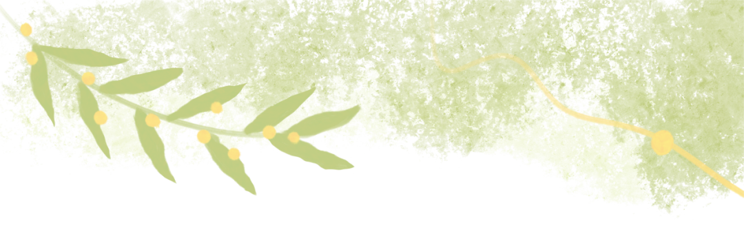 1.png 1.png
